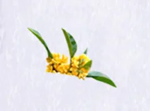 Microcapsule Fragrance Powder Osmanthus