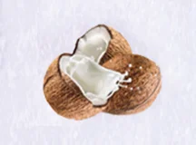 Microcapsule Fragrance Powder coconut