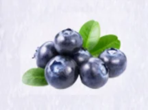 Microcapsule Fragrance Powder blueberry
