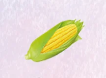 Microcapsule Fragrance Powder corn