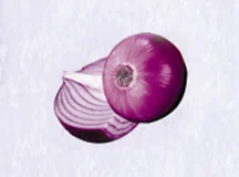 Microcapsule Fragrance Powder onion