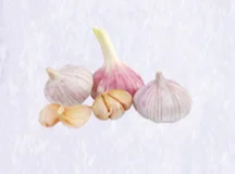 Microcapsule Fragrance Powder garlic