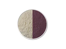 Color to Colorless Photochromic Pigment Powders dark purple cdp-04