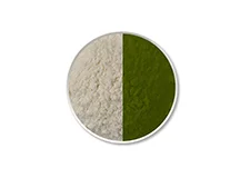 Photochromic Powder green kg-08