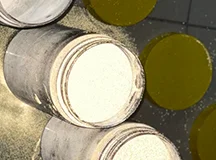 Reflective Pigment Powders After rg-04