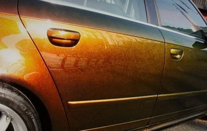 chameleon brown paint