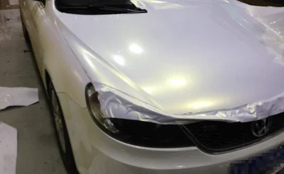 chameleon paint white