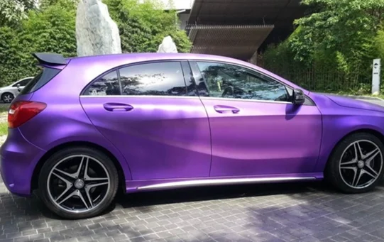 chameleon paint purple